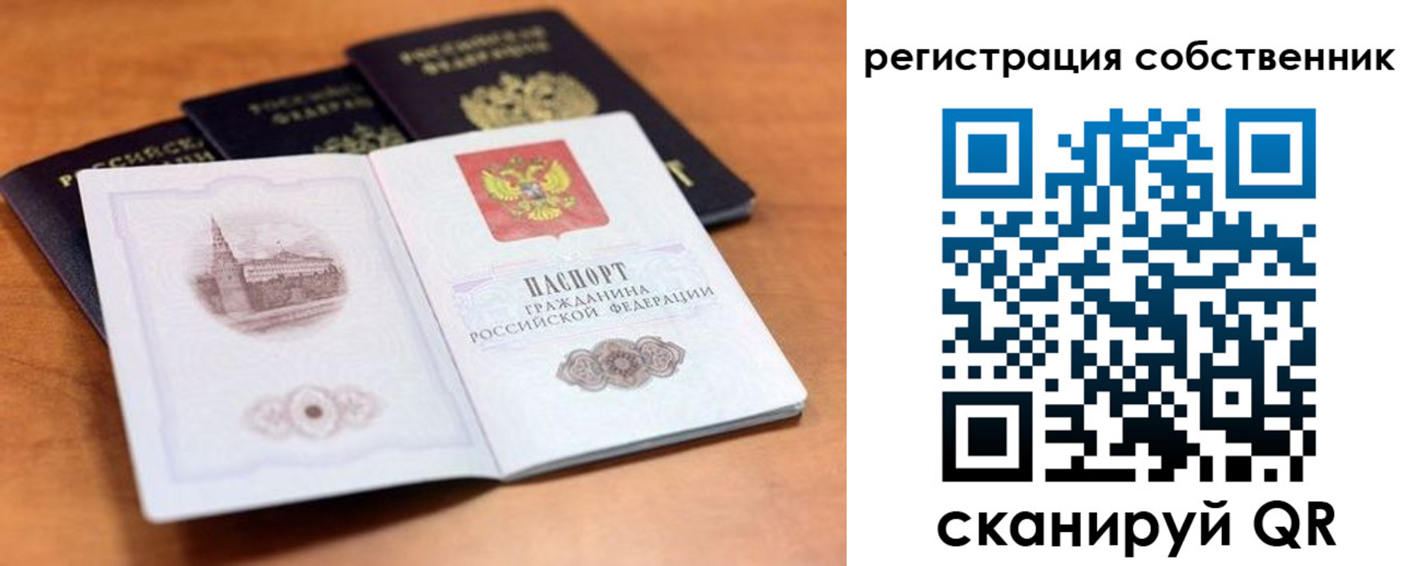 прописка поиск в Болотном